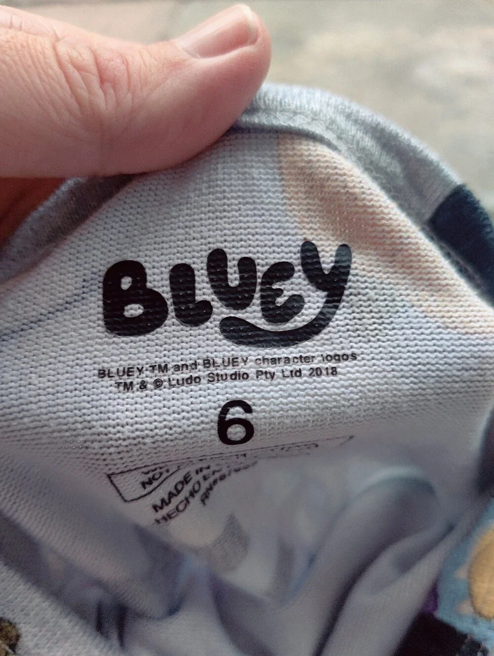 Size 6 Disney Bluey Halloween Character Pajama Sets - Gray, Black & Orange